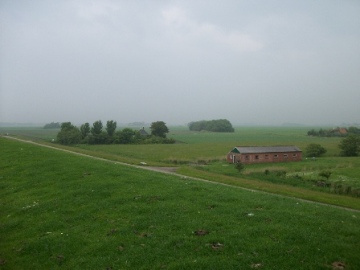 Post image for Jolly Black Servant – Tradition and Racism in the Netherlands